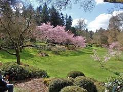 149 PARC ORIENTAL DE MAULEVIER MAINE ET LOIRE 2016 N0_000012